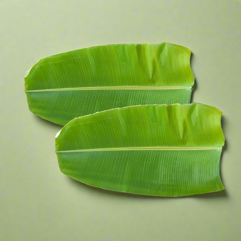 BANANA LEAVES 