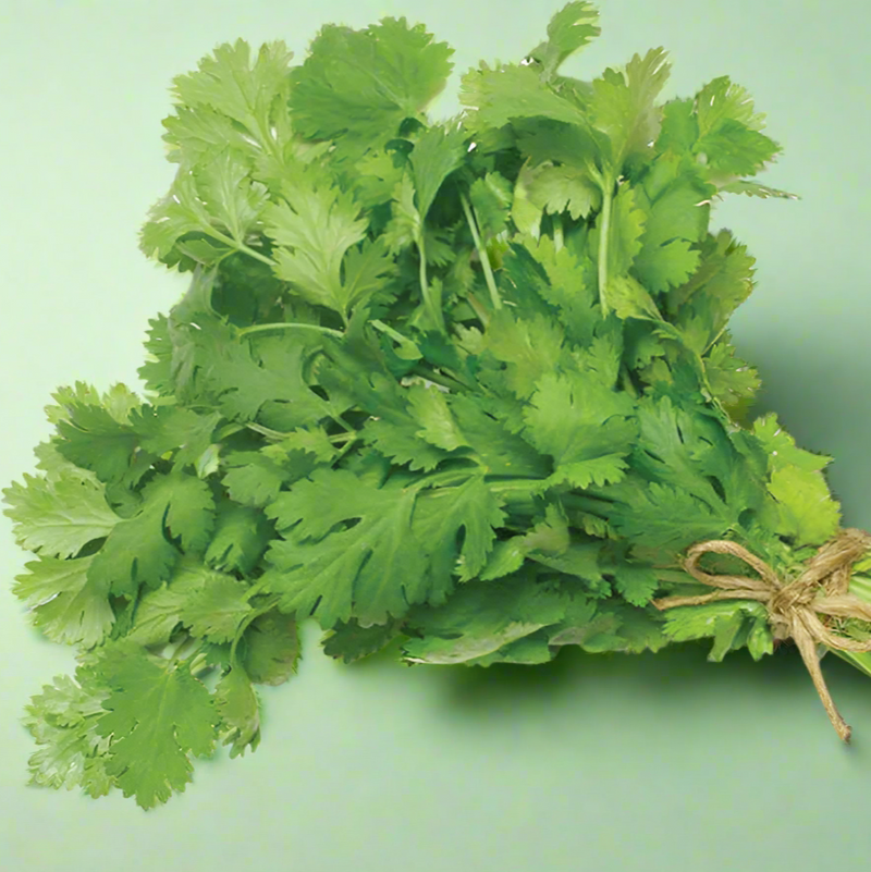 Coriander (punch)