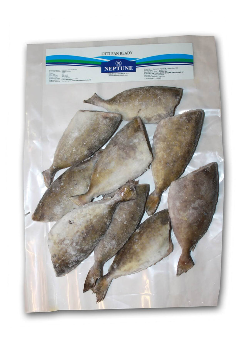 Neptune - Otti Pan Ready - 600g
